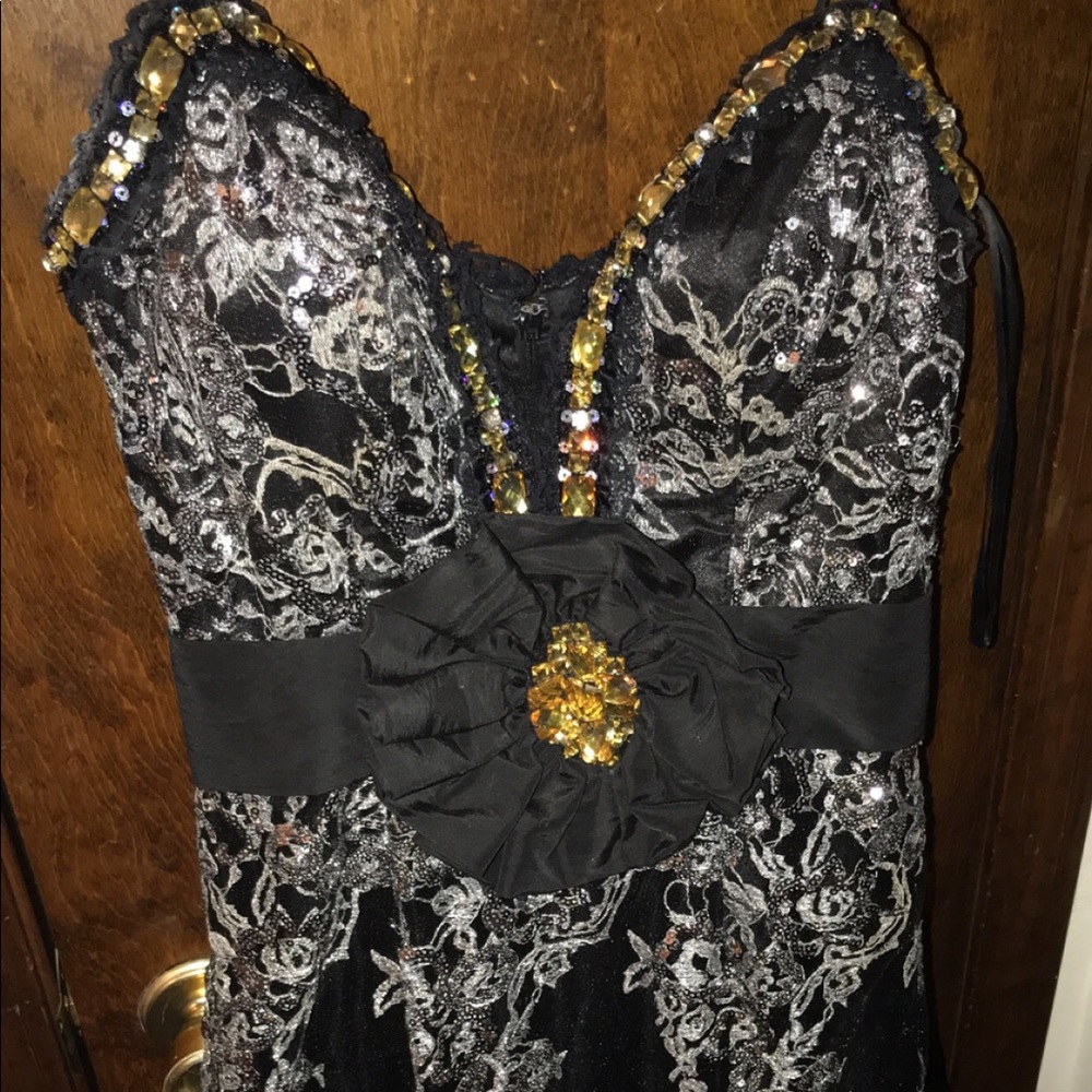 Prom/Pageant Dress